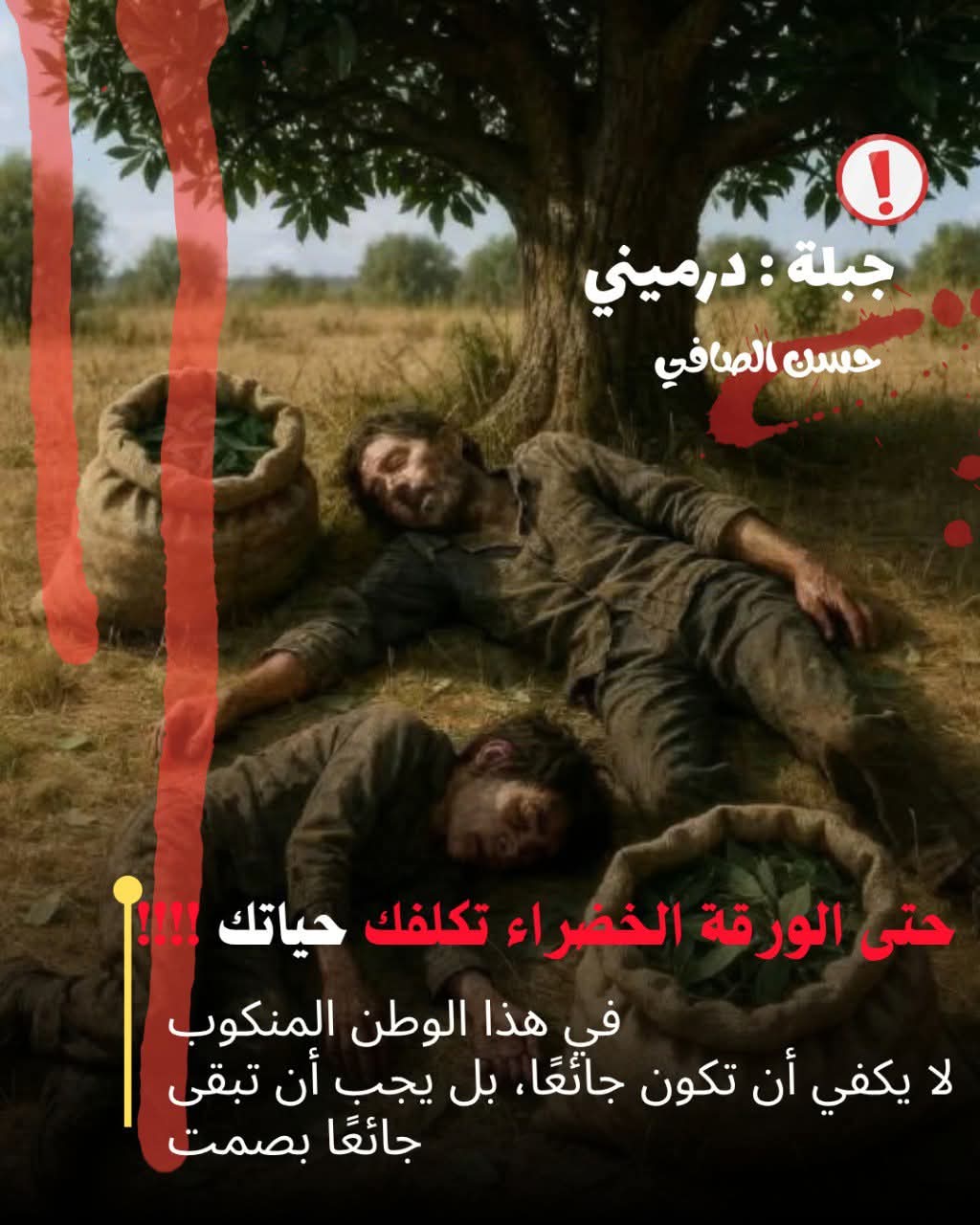 حتى الورقة الخضراء تُكلفك حياتك!" #جبلة – حسن الصافي