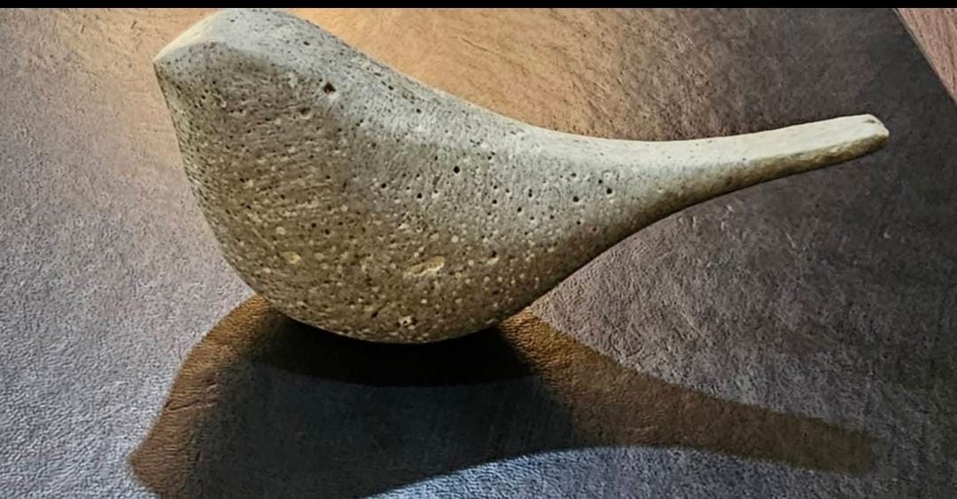 العثور على عصفور اثري في محافظة الناصرية وتسليمه الى مفتشية إثار ذي قار....
