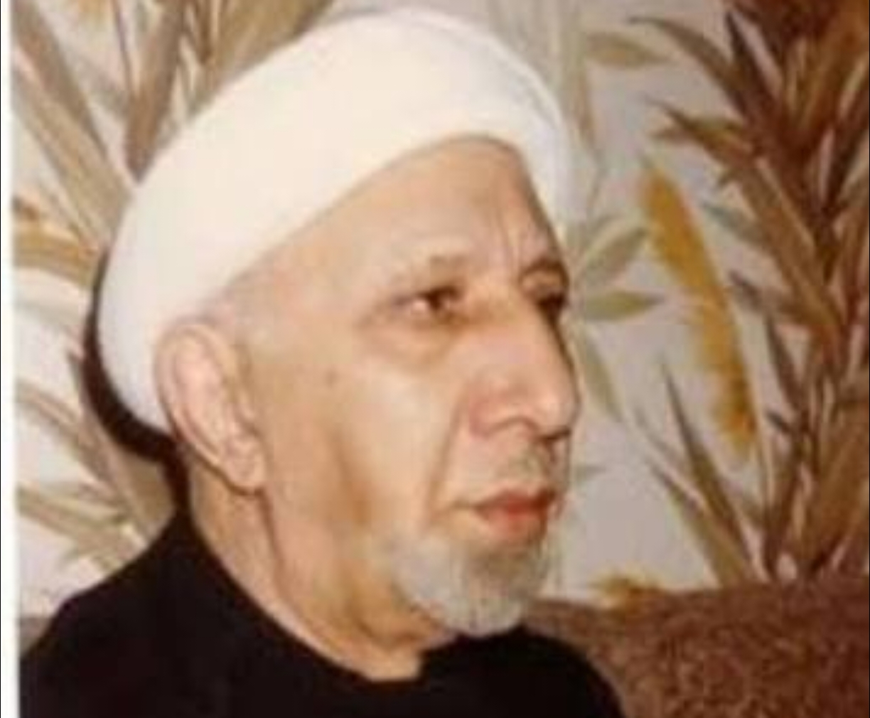 قراءة تحليلية لأراء الشيخ أحمد الوائلي "رحمه الله" في حضانة الاولاد....