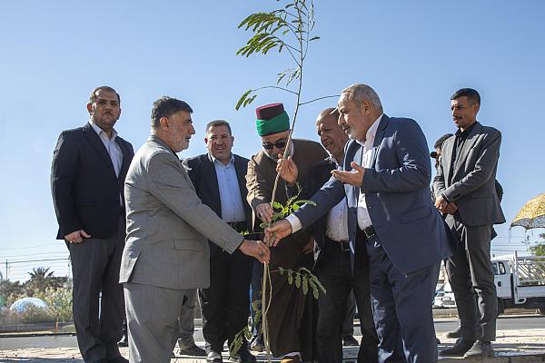 العتبة العباسية المقدسة تطلق حملة لتشجير طريق (يا حسين) بين النجف و كربلاء.