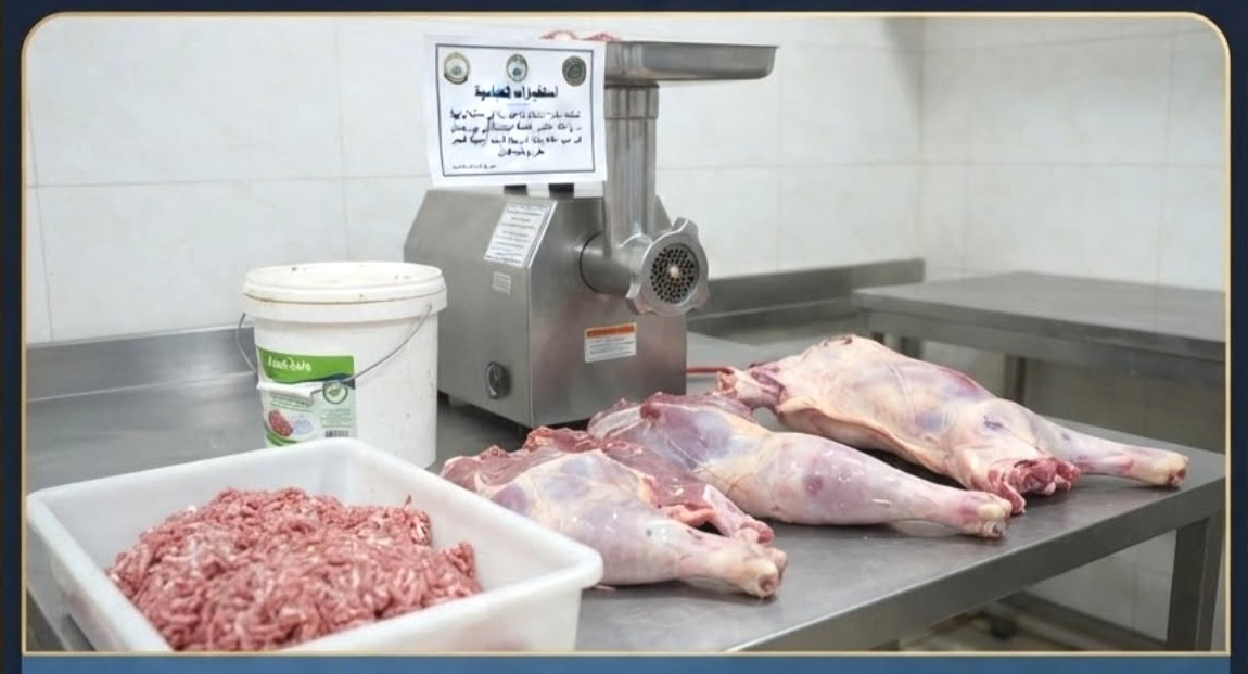 النجف : الأجهزه الأمنية في العباسية تطيح بصاحب محل  لبيع لحوم الخنازير البرية